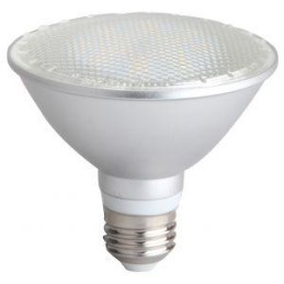 PAR30 LED 13W E27 50K