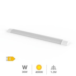 REGLETA LED BAME 6W 4000K