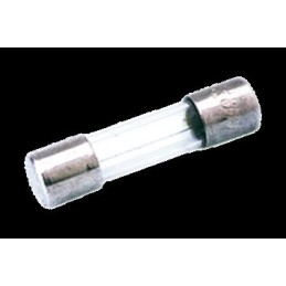FUSIBLE 5X20 RáPIDO 10A